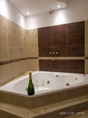 DEPARTAMENTO 2 DOR ZONA PARQUE CON JACUZZi